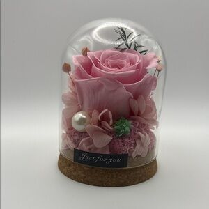 Eternal Pink Preserved Rose in Glass Dome